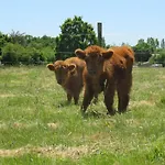 Alpehytte Les P'tites Maisons Dans La Prairie *
