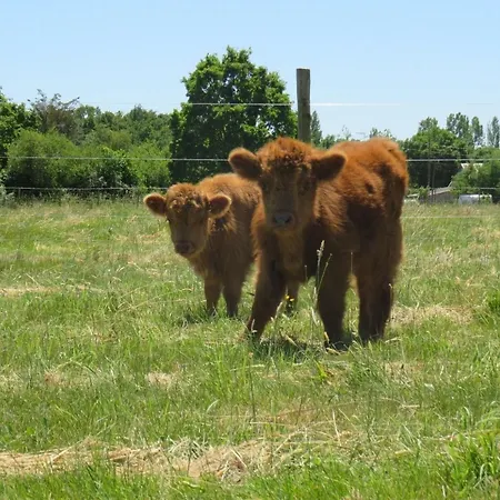 Chalet Les P'tites Maisons Dans La Prairie *