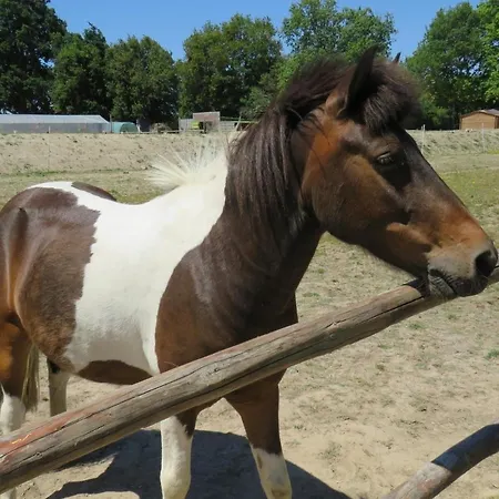 Les P'tites Maisons Dans La Prairie Chalet Sallertaine