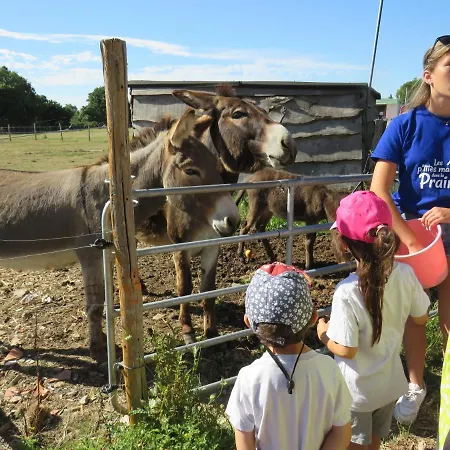 Les P'tites Maisons Dans La Prairie Chalet Sallertaine