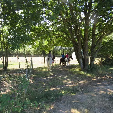 Chalet Les P'tites Maisons Dans La Prairie Sallertaine
