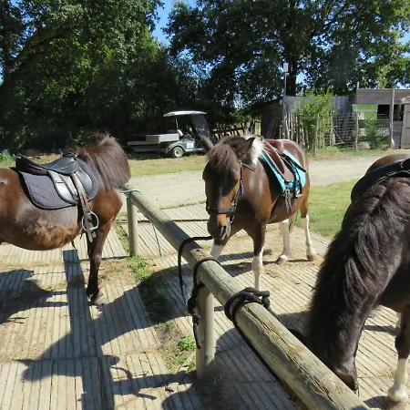 Les P'tites Maisons Dans La Prairie * Sallertaine