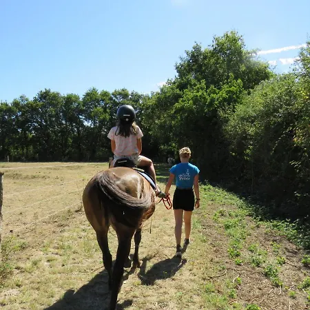 Chalet Les P'tites Maisons Dans La Prairie Sallertaine