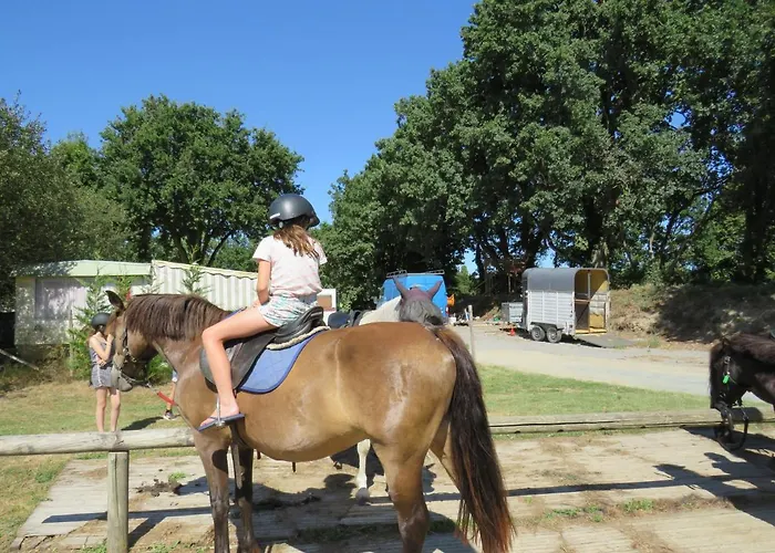 Les P'tites Maisons Dans La Prairie 샬레 Sallertaine