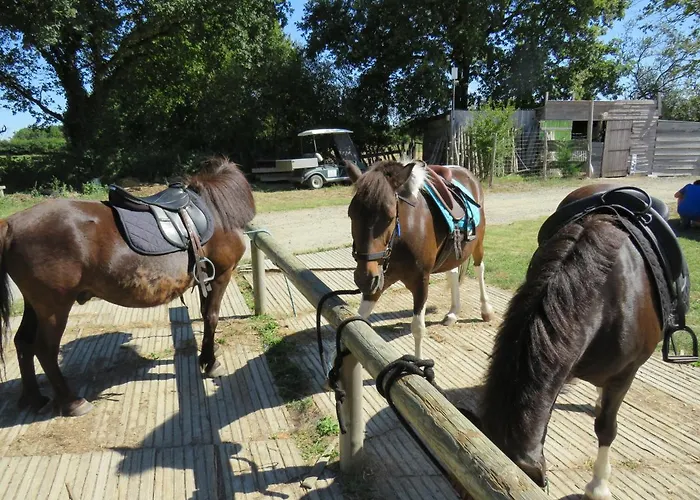Les P'tites Maisons Dans La Prairie * Sallertaine